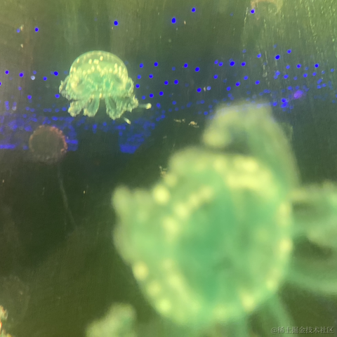 库洛米于2023-03-19 22:32发布的图片