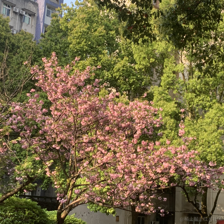 YYGod0120于2023-04-01 09:25发布的图片