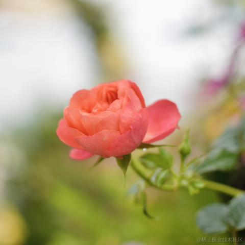 _一杯冰美式_于2023-03-21 10:05发布的图片