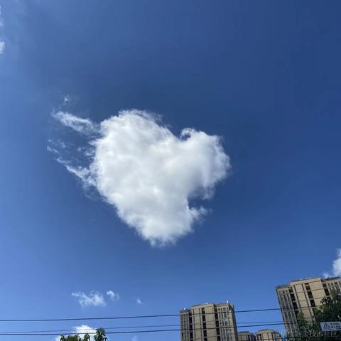 莱斯2022于2022-07-07 10:05发布的图片