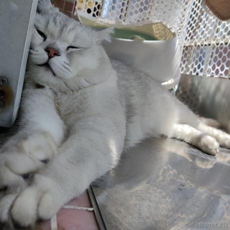 叨叨呀于2022-04-08 09:22发布的图片