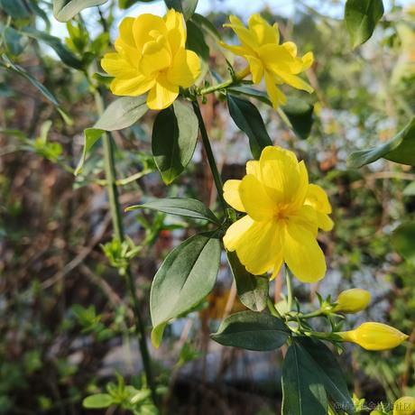 渡人先渡己于2023-03-13 09:15发布的图片