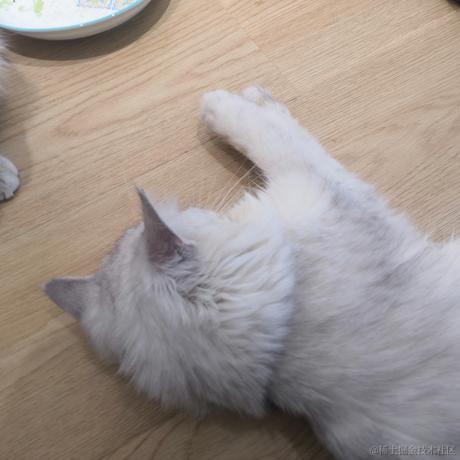 葫芦是顶碗人于2022-11-16 18:11发布的图片