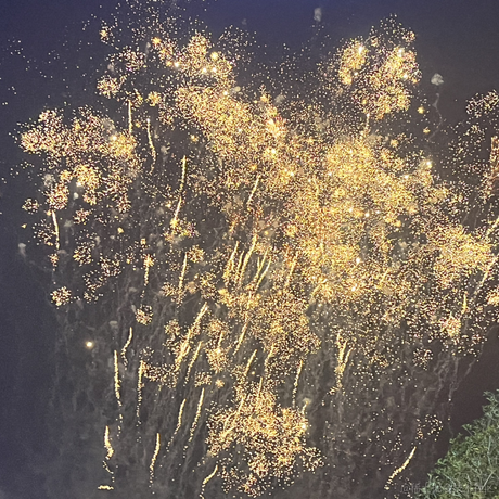 梦途Finn于2024-01-01 00:05发布的图片