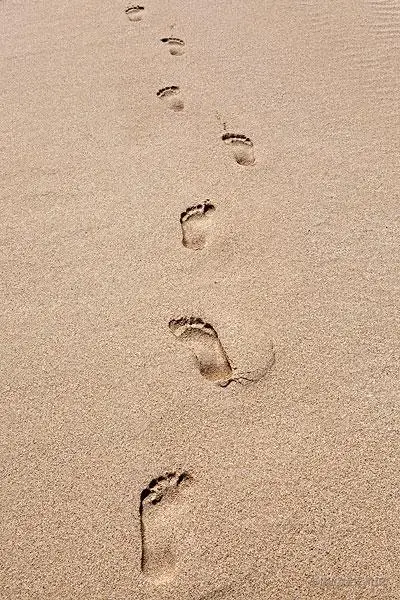 叶湾的学习笔记