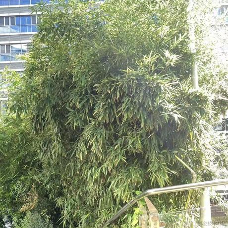 掘金齐天大圣于2023-05-18 19:03发布的图片