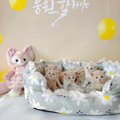 龍佛于2023-06-02 14:11发布的图片