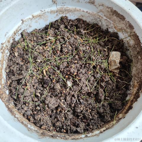 秋得麻袋于2023-06-03 12:24发布的图片