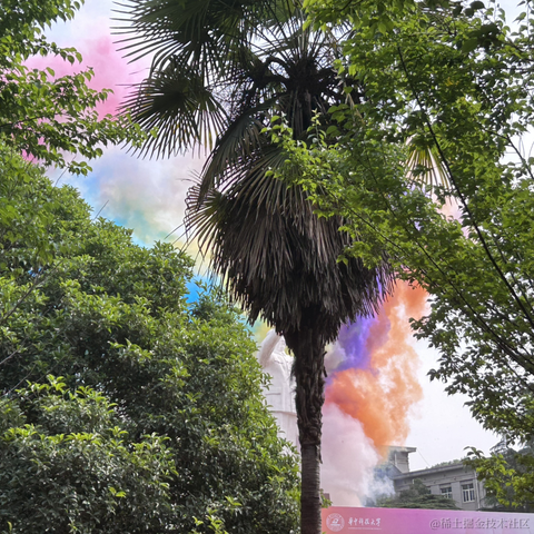 suri于2023-05-13 11:16发布的图片