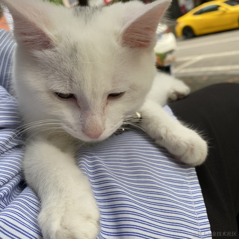 宁在春于2022-05-21 16:08发布的图片