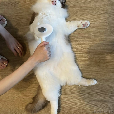 端盘花生米于2022-10-20 17:08发布的图片