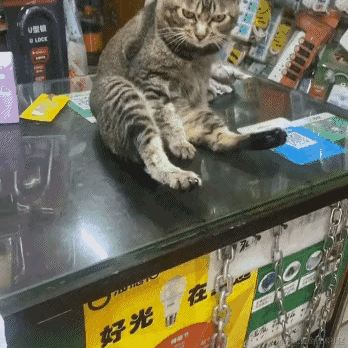 已注销于2021-10-27 18:15发布的图片