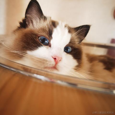 Firmament于2022-12-14 11:50发布的图片