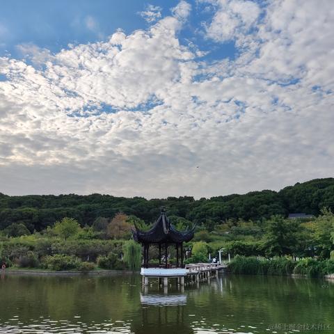 优秀稳妥的金枪小魔王于2022-09-26 09:26发布的图片