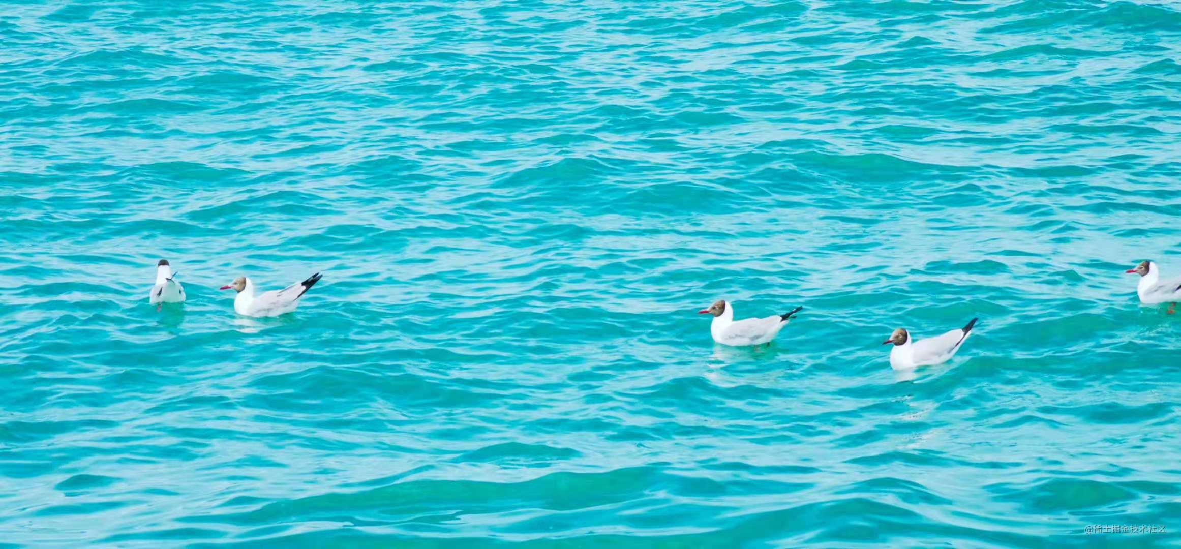 netty（十二）初识Netty - ByteBuf 内存回收这是我参与11月更文挑战的第16天，活动详情查看：2021 - 掘金