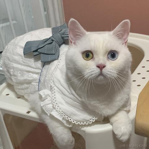 so_hhh于2021-10-28 11:26发布的图片