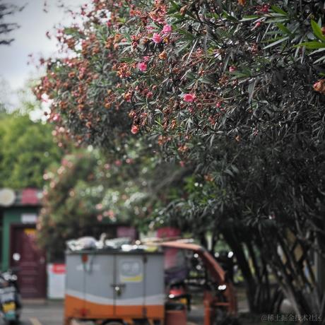 静心晚子于2023-06-26 11:45发布的图片