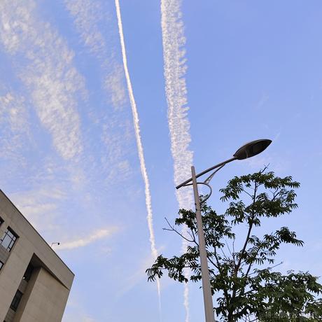 Willow_于2023-06-29 14:28发布的图片