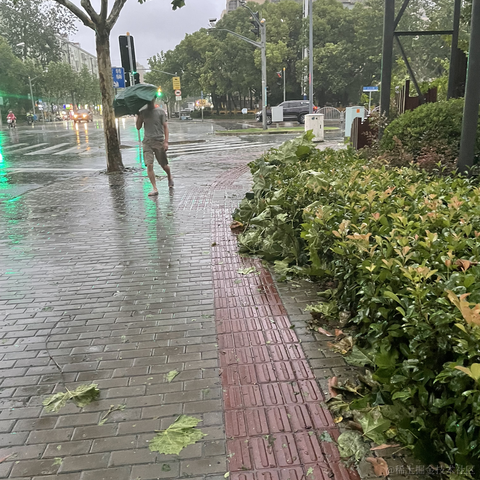 老汤姆于2021-07-26 08:19发布的图片