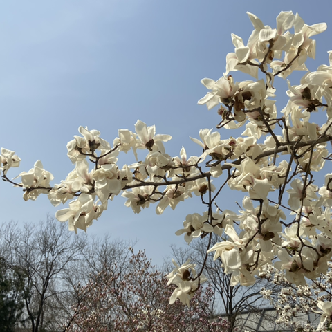 勾崽于2021-03-25 09:27发布的图片