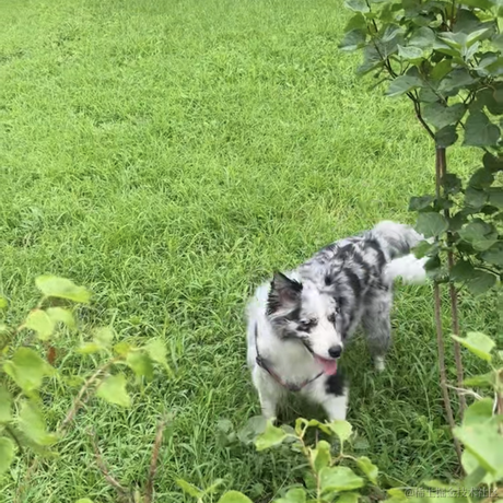 Yestodorrow于2022-08-15 11:39发布的图片