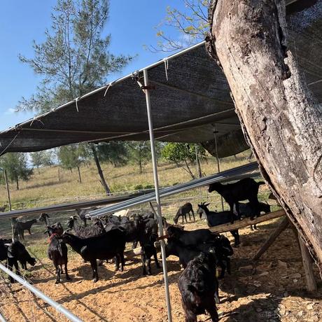 老坛衫菜于2022-12-11 14:56发布的图片