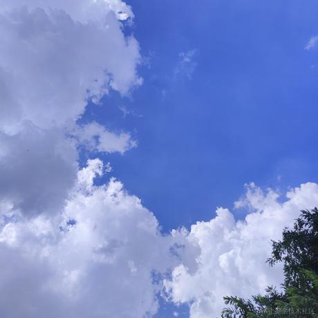 用户2526395965620于2023-07-31 23:22发布的图片