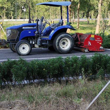 四面游鳞于2022-11-29 08:27发布的图片