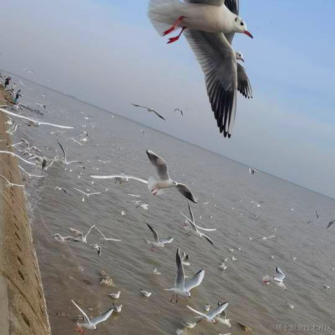 用户50440498118于2024-02-28 17:58发布的图片