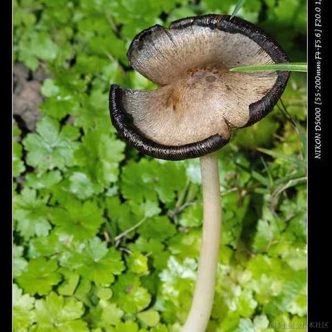 fishspring于2023-05-10 13:37发布的图片