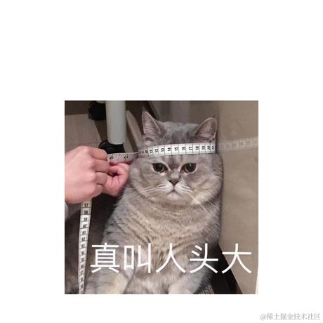 tyaa于2021-09-28 19:36发布的图片