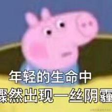 年仅三岁的水母小晚于2022-12-05 18:29发布的图片