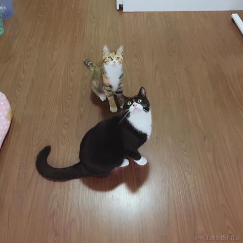 Susie_女子于2021-09-14 19:47发布的图片