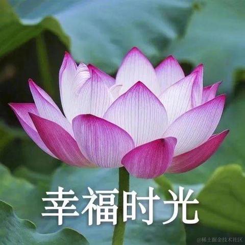晴天小猪ci于2020-09-30 14:36发布的图片