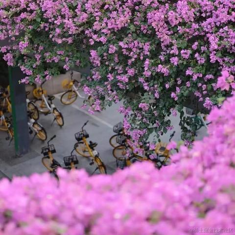 法医于2022-11-12 11:51发布的图片