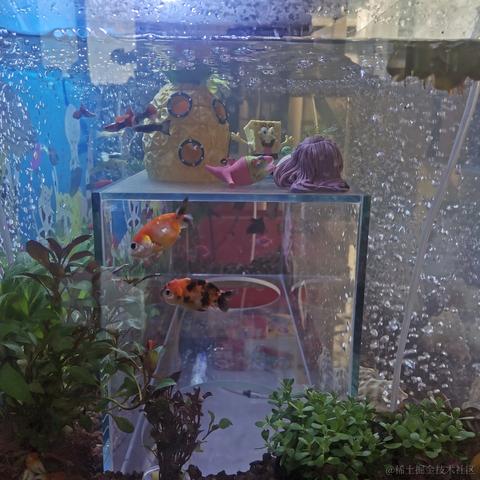 人性本恶于2023-11-27 08:56发布的图片