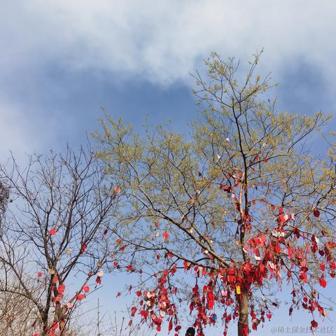 老飞棍于2023-03-19 02:38发布的图片