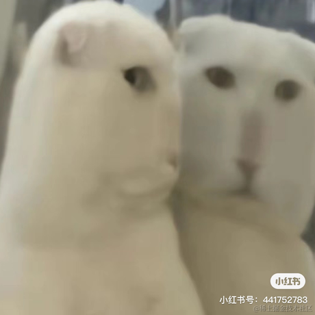 婉婉啊于2023-05-18 15:26发布的图片