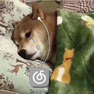 安逸的咸鱼于2021-01-12 13:50发布的图片