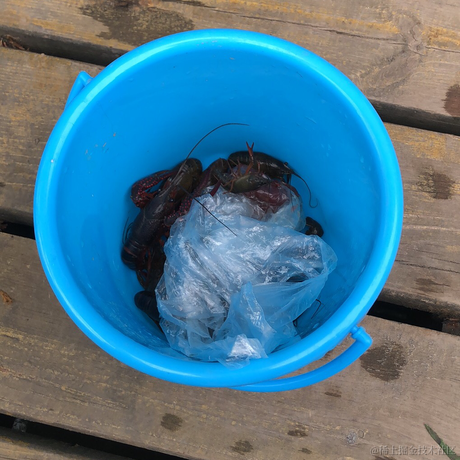 摸鱼P24大师于2021-07-03 11:16发布的图片