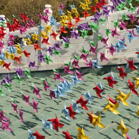 damage7于2023-04-21 09:12发布的图片