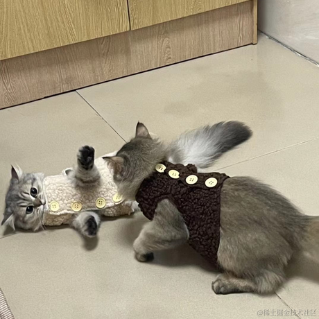 helloY于2022-12-09 23:24发布的图片