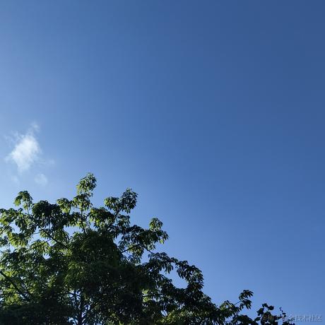 L简于2023-07-04 07:46发布的图片