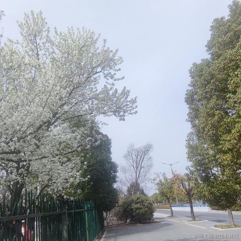 秒写二叉树于2023-03-15 17:01发布的图片