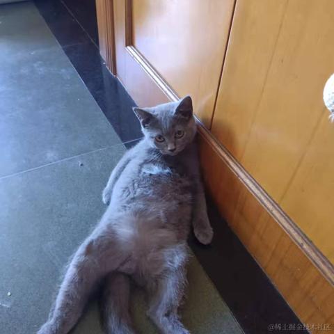 小小明同学于2022-01-07 09:09发布的图片