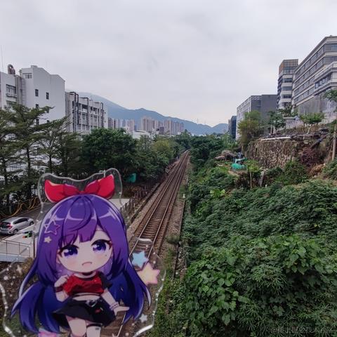 脆弱杨桃干于2022-11-12 18:04发布的图片