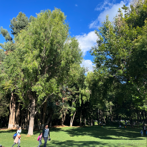 Vangelis_Ye于2023-04-28 20:22发布的图片