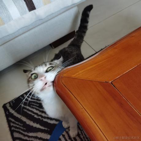 JZZZ于2022-12-02 13:07发布的图片