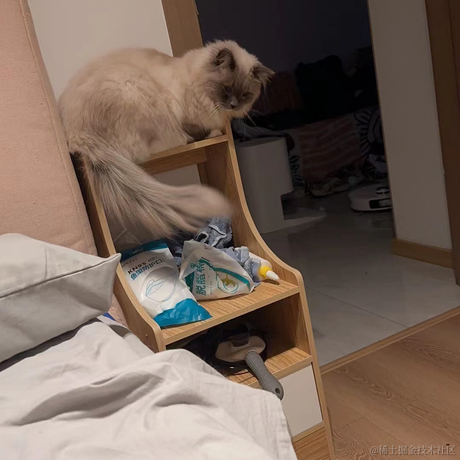 打你的修狗于2023-04-16 18:53发布的图片