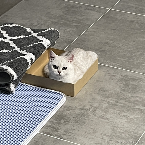 喵怼怼于2023-05-13 15:17发布的图片